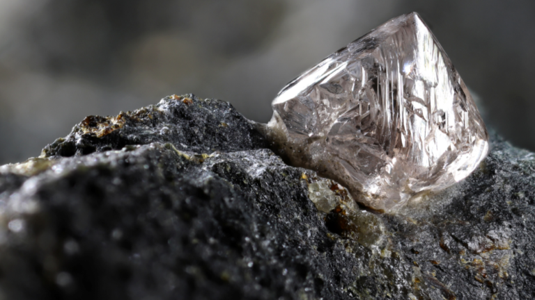 Fosun envisage la vente de la société belge de classement de diamants IGI, selon des sources