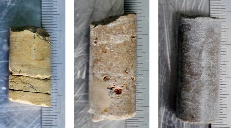 Rock cores used for microbial investigation