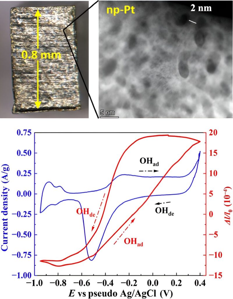 Le platine nanoporeux est constitué de ligaments ou brins interconnectés de petit diamètre de platine aussi petit que deux nanomètres (10 à 9 m) de diamètre avec de minuscules pores entre les deux.