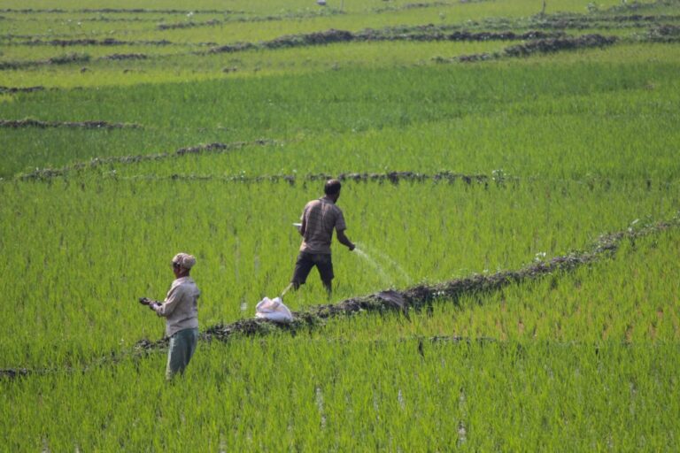 Brazilian farmers rush to secure fertilizers on Ukraine war fears