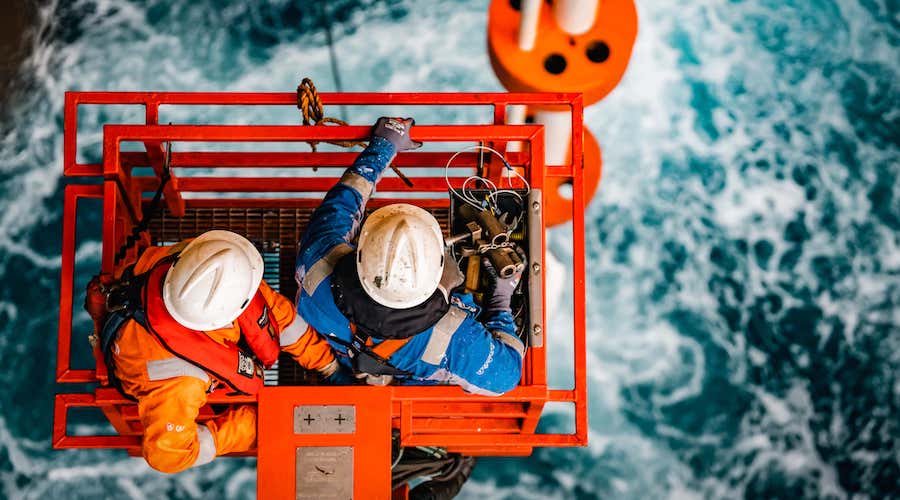 Deep-sea miners dealt fresh blow as more than 5,500 of new species found in Pacific Ocean zone earmarked for mining