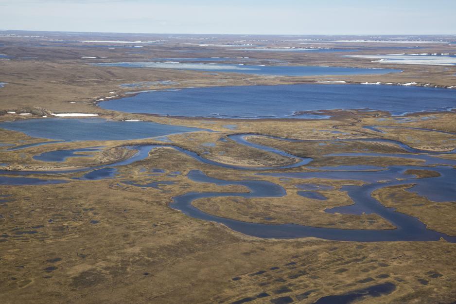 Les États-Unis limitent le forage et l’exploitation minière dans la nature sauvage de l’Alaska, provoquant la colère des dirigeants de l’État