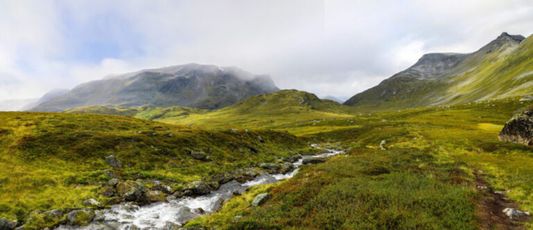 Rare Earths Norvège affirme que sa découverte d'ETR est la plus grande d'Europe