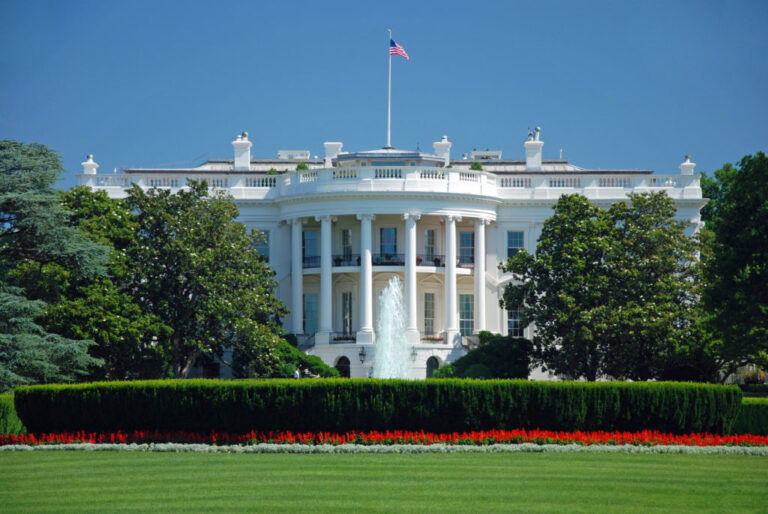 Les meilleurs investissements en ressources naturelles en cas de victoire de Trump ou Harris