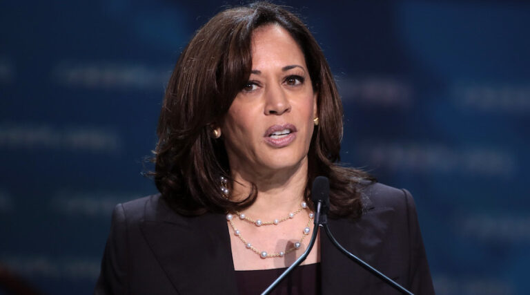Kamala Harris promet de créer un stock de minéraux essentiels aux États-Unis et des mesures incitatives