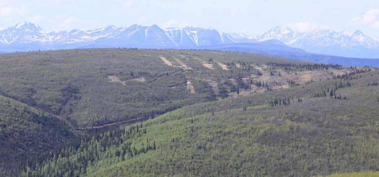 Le stock de Contango ORE chute alors que les coûts augmentent à la mine d'or de l'Alaska