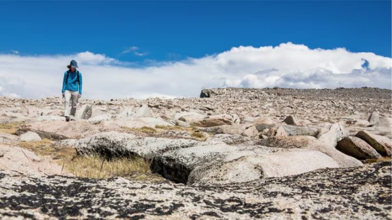 BHP sélectionne huit entreprises pour le programme d'accélération Xplor 2025