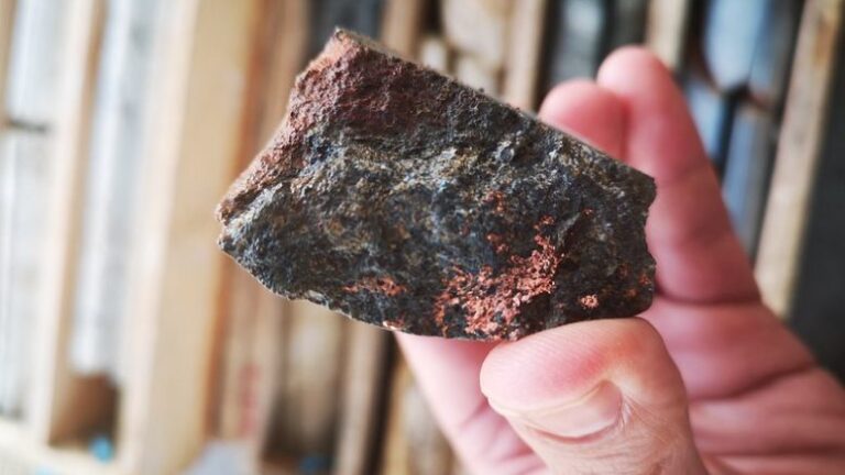 Cerrado Gold pour acquérir des ressources ascendant