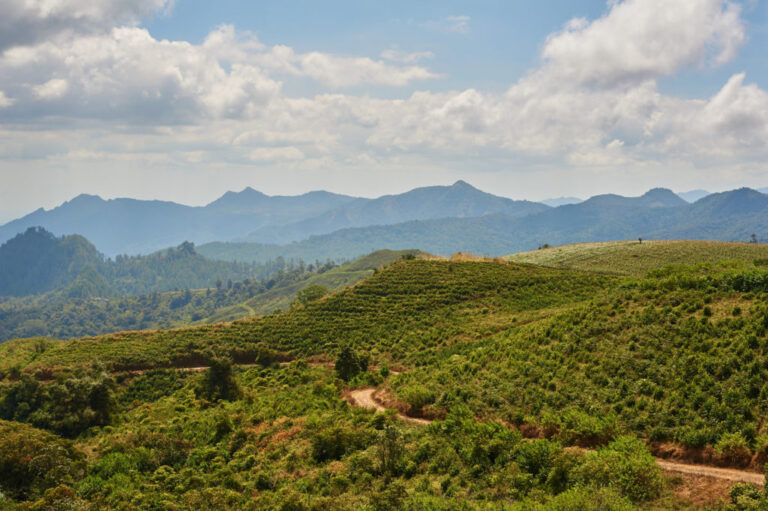 L'Indonésie dit que Eramet explorant de nouvelles zones minières dans le sud de Sulawesi, Papouasie