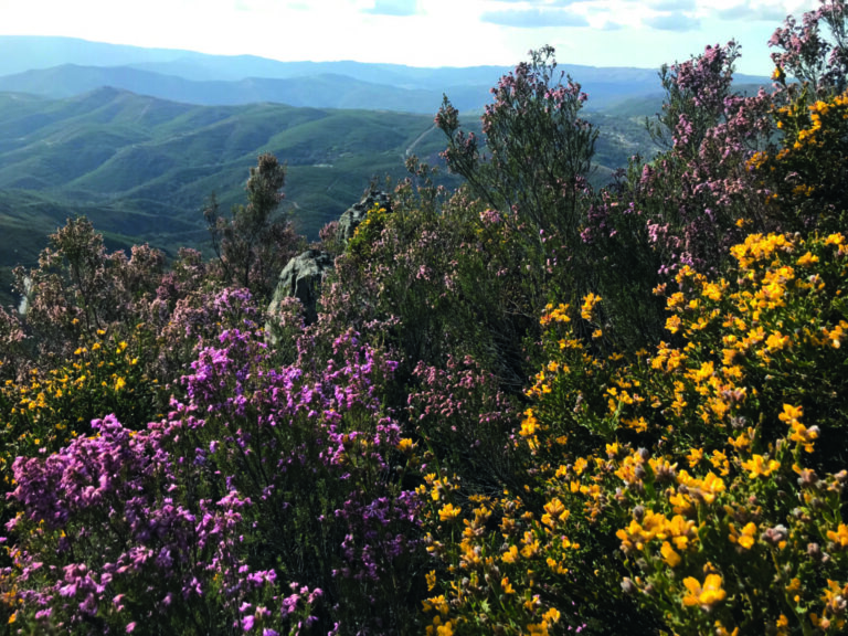 Barroso lithium project in Portugal