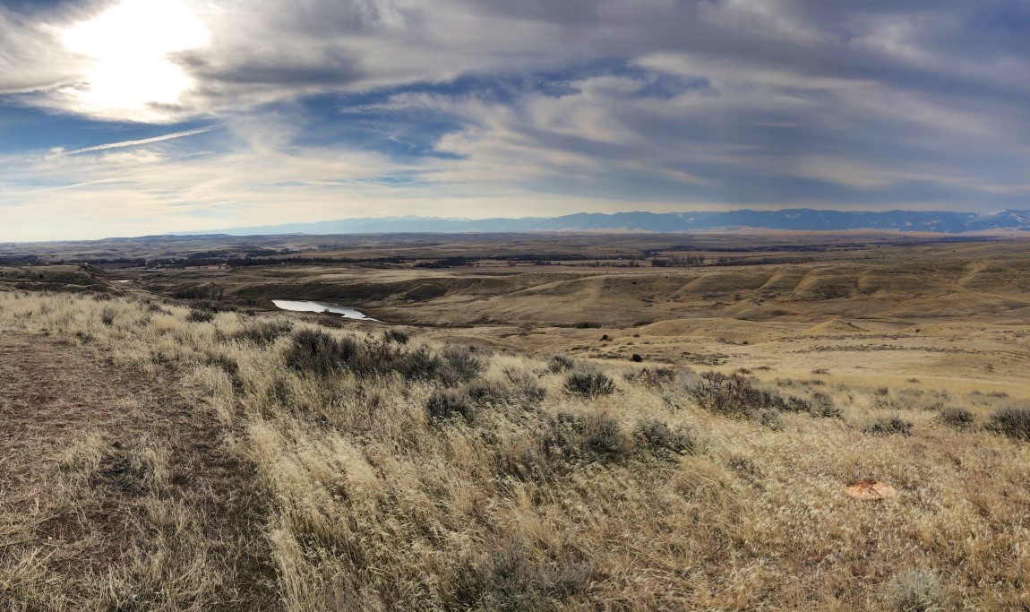 Le Wyoming Rare Earth Project de Ramaco Resources obtient une subvention de 6,1 millions de dollars