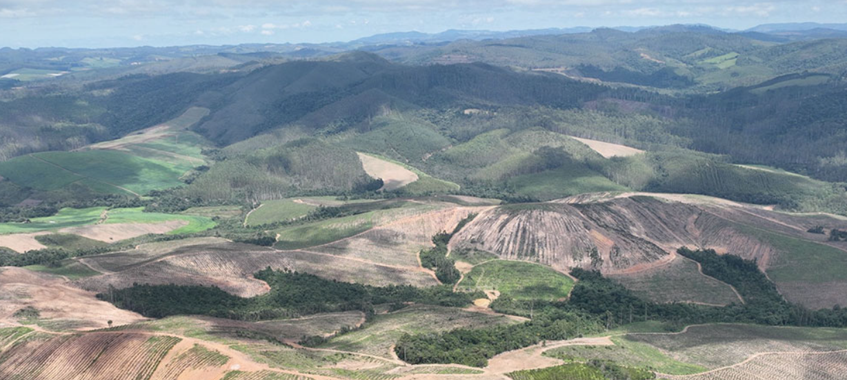 Les ressources météoriques prennent la couronne pour le plus grand projet de terres rares hébergées par l'argile au monde