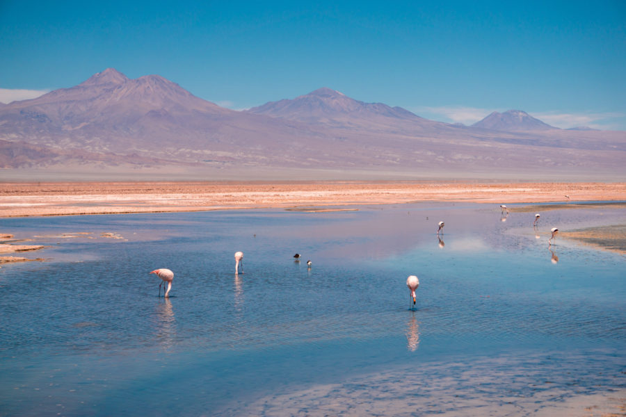Le Chili a 28% plus de lithium que les estimations précédentes, les études révèlent