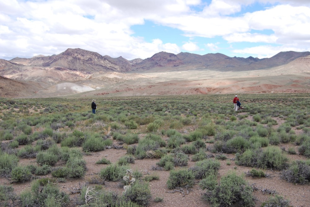 Ioneer «confiant» dans la recherche d'investisseur de rhyolite Ridge, à une évaluation plus élevée: FT