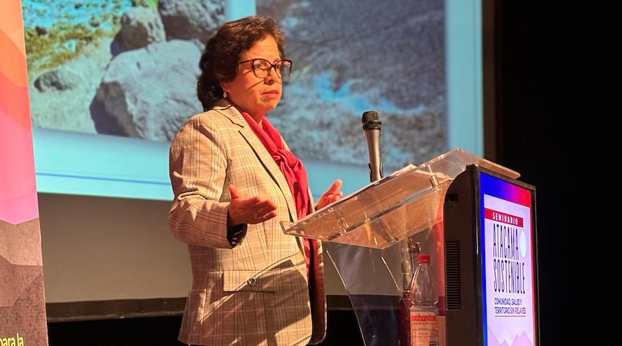 Le ministre du Chili Mining s'attend à ce que la demande de cuivre à court terme ralentit en raison des tarifs