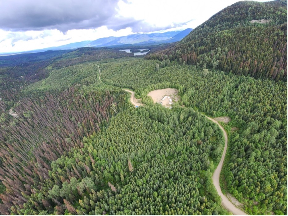 Defense Metals Inks Contrat stratégique avec un partenaire potentiel pour le projet Wicheeda Ree