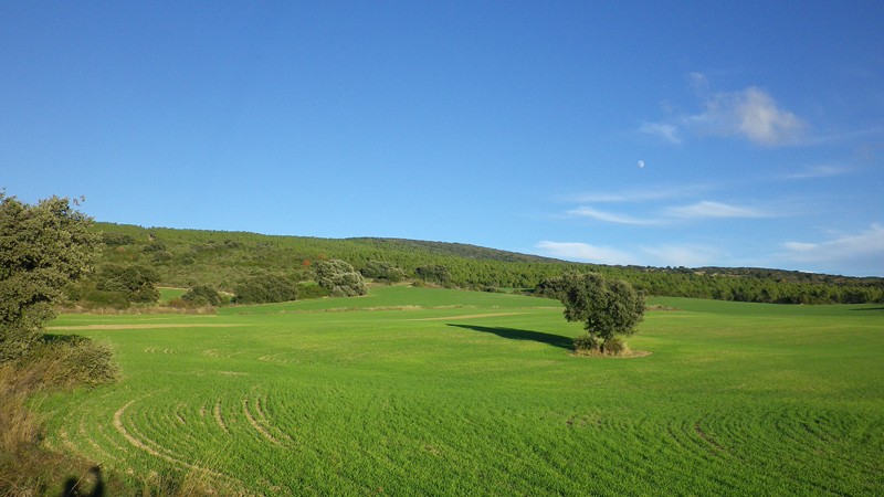 Potash Highfield Resources