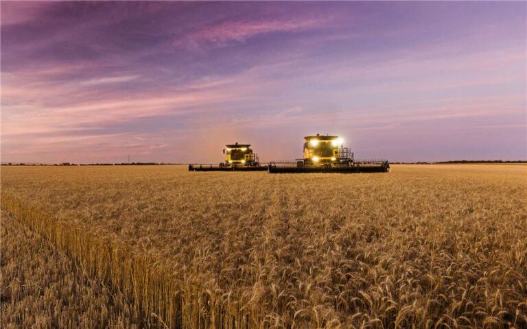 Les tensions américano-chinoises stallent 8,2 milliards de dollars de vitrera de Bunge
