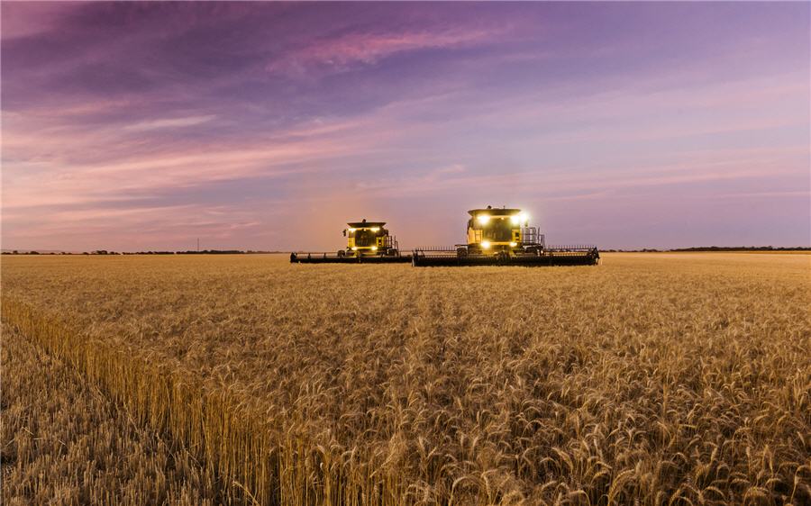 Les tensions américano-chinoises stallent 8,2 milliards de dollars de vitrera de Bunge