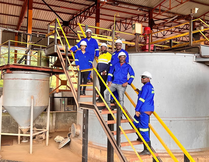 Terra Metals, Metalex Seal 100 millions de dollars pour former Copper-Cobalt Partnership en Zambie