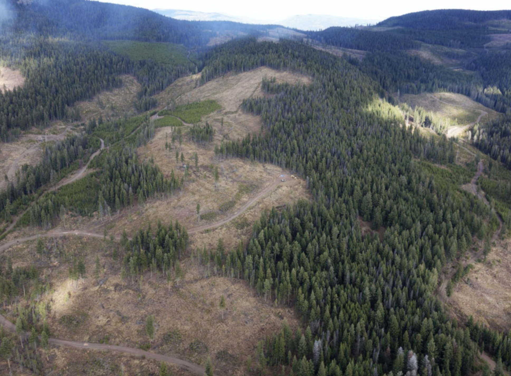 Westhaven Gold reçoit un investissement de 2,3 millions de dollars de Sprott, Earthlabs