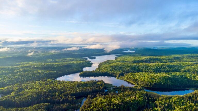 Des chercheurs d'Écosse et du Canada s'associent à nettoyer l'eau de mine contaminée