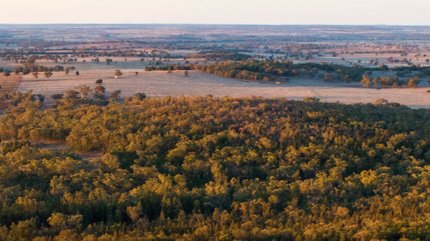 Rare earths miner Australian Strategic Materials secures loan for project construction