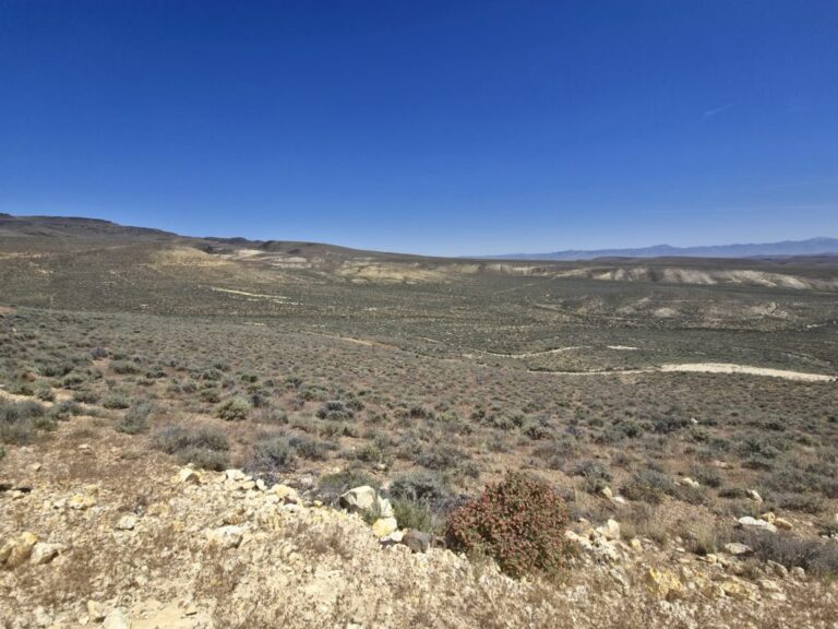«Nous sommes dans Project Manhattan 2.0», dit le PDG d'Uranium