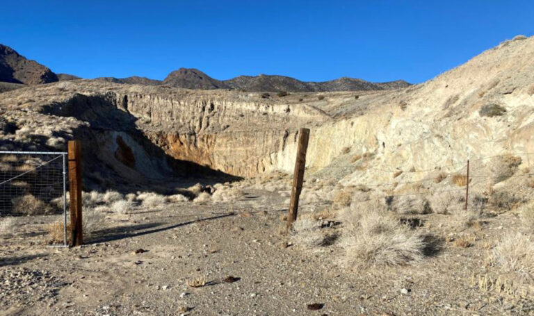 Guardian bets on Nevada tungsten revival