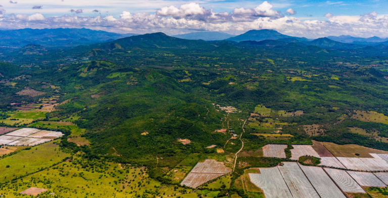 Aura Minerals relève ses perspectives de croissance avec la faisabilité d'Era Dorada
