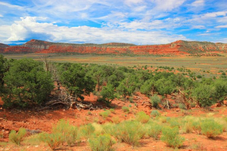 Une entreprise soutenue par Horowitz va relancer une mine de cuivre inutilisée dans l'Utah