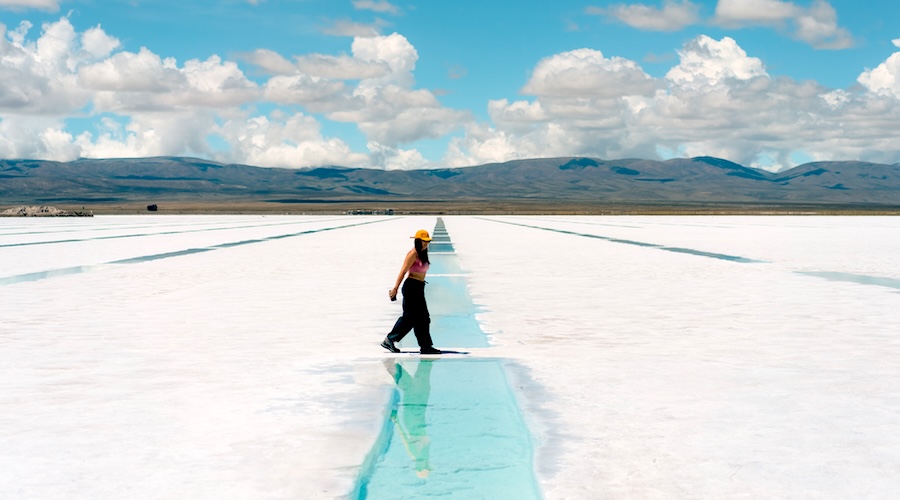 UK scientists turn to biology to unlock cleaner lithium
